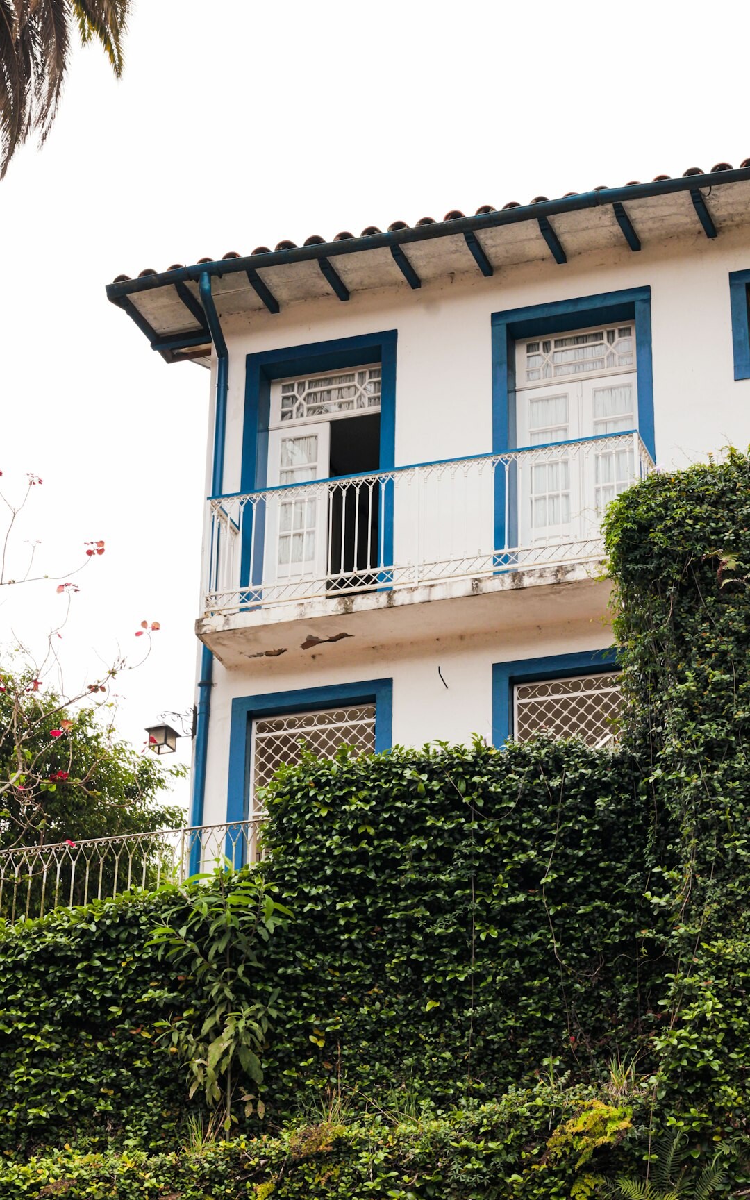 Brazilian person writing in a journal near a window