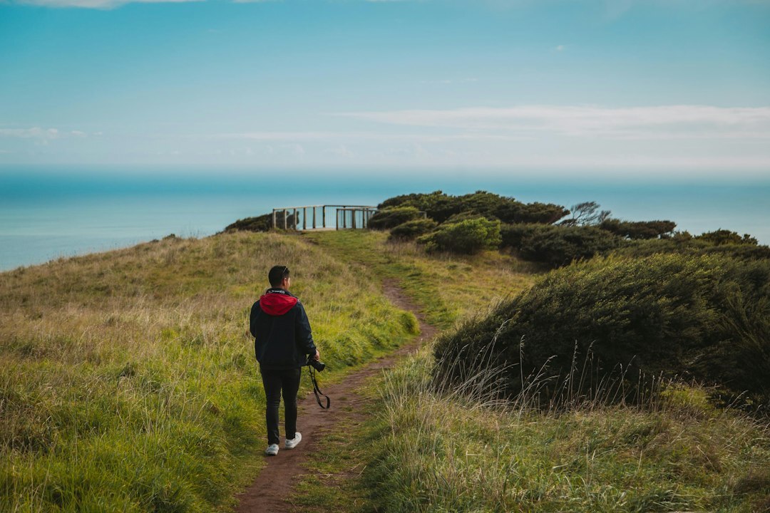 person on path to success